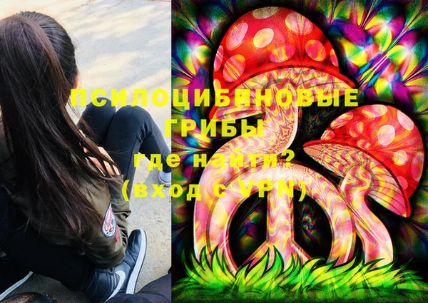 кокс Арсеньев